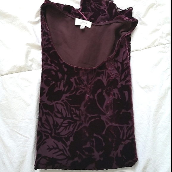 Wilfred Velvet Velour Shift Dress - Picture 1 of 8